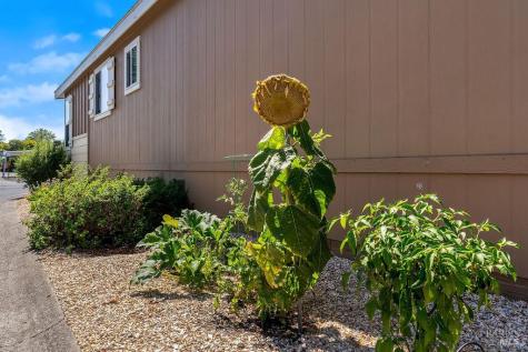 46 Oriole Way Santa Rosa CA 95409
