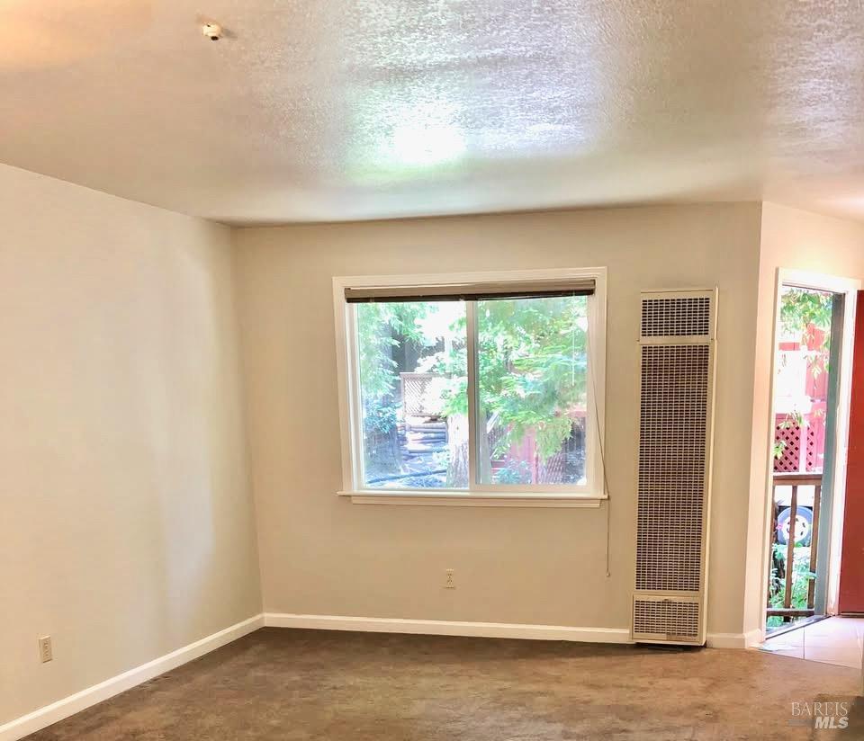 14565 Canyon 1 Road Guerneville CA 95446