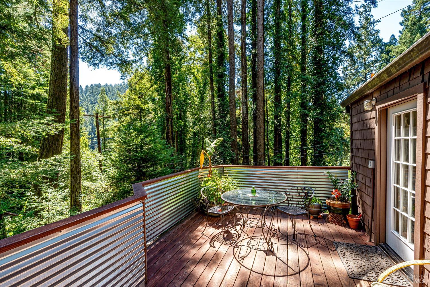 9079 Middle Terrace Monte Rio CA 95462