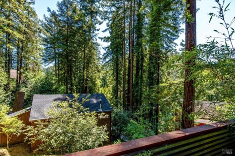 9079 Middle Terrace Monte Rio CA 95462