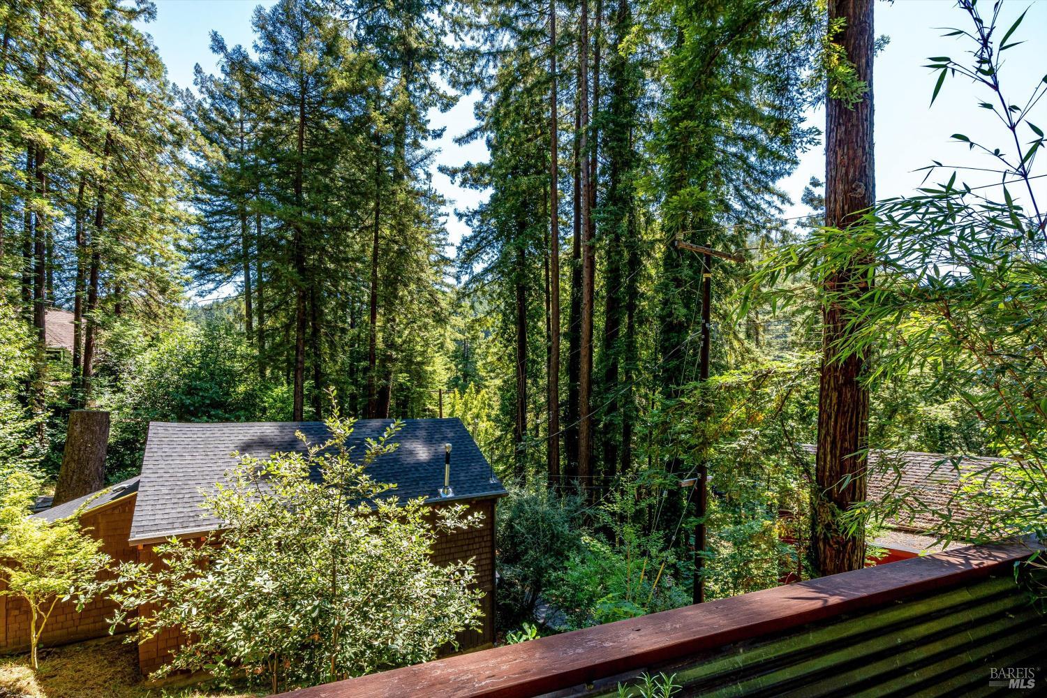 9079 Middle Terrace Monte Rio CA 95462