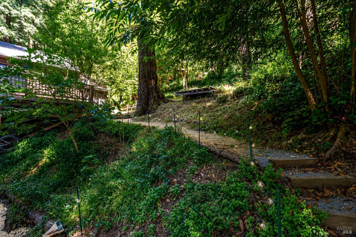 9079 Middle Terrace Monte Rio CA 95462