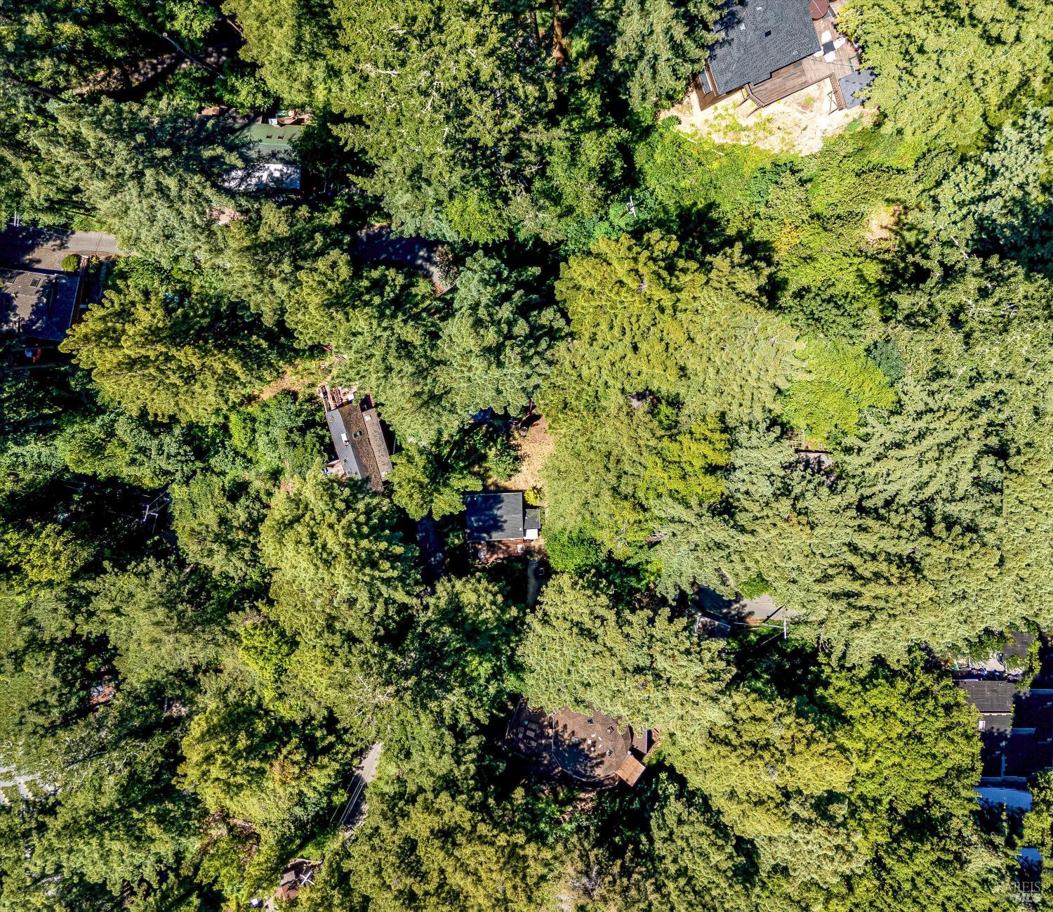 9079 Middle Terrace Monte Rio CA 95462