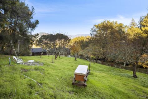 42-50 Grove Street San Rafael CA 94901