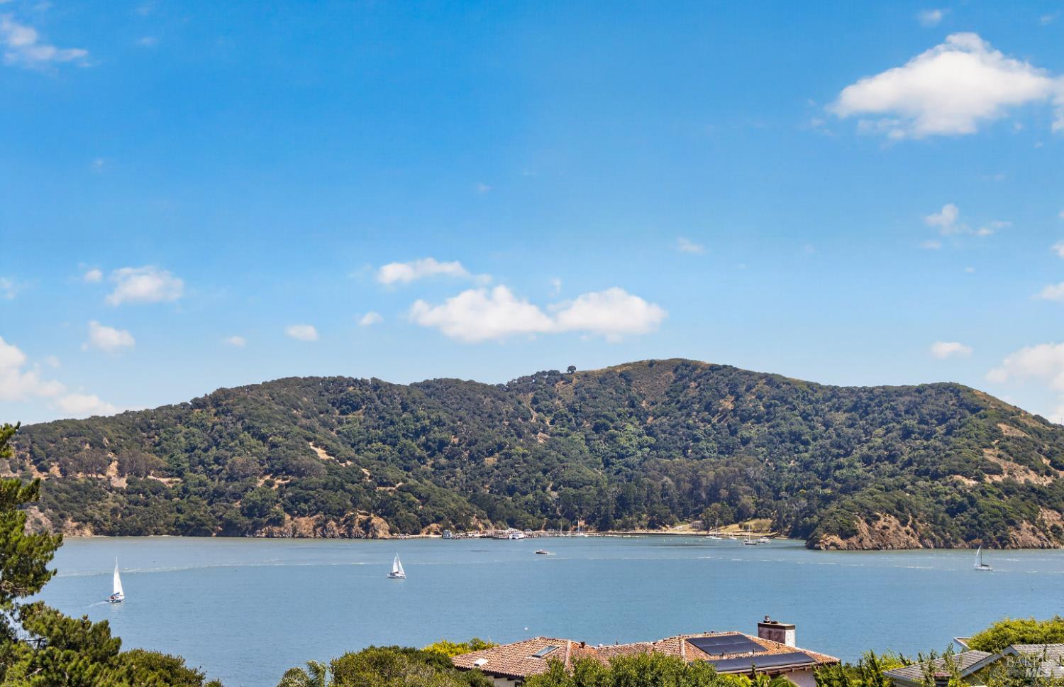 2401 Paradise Drive Tiburon CA 94920