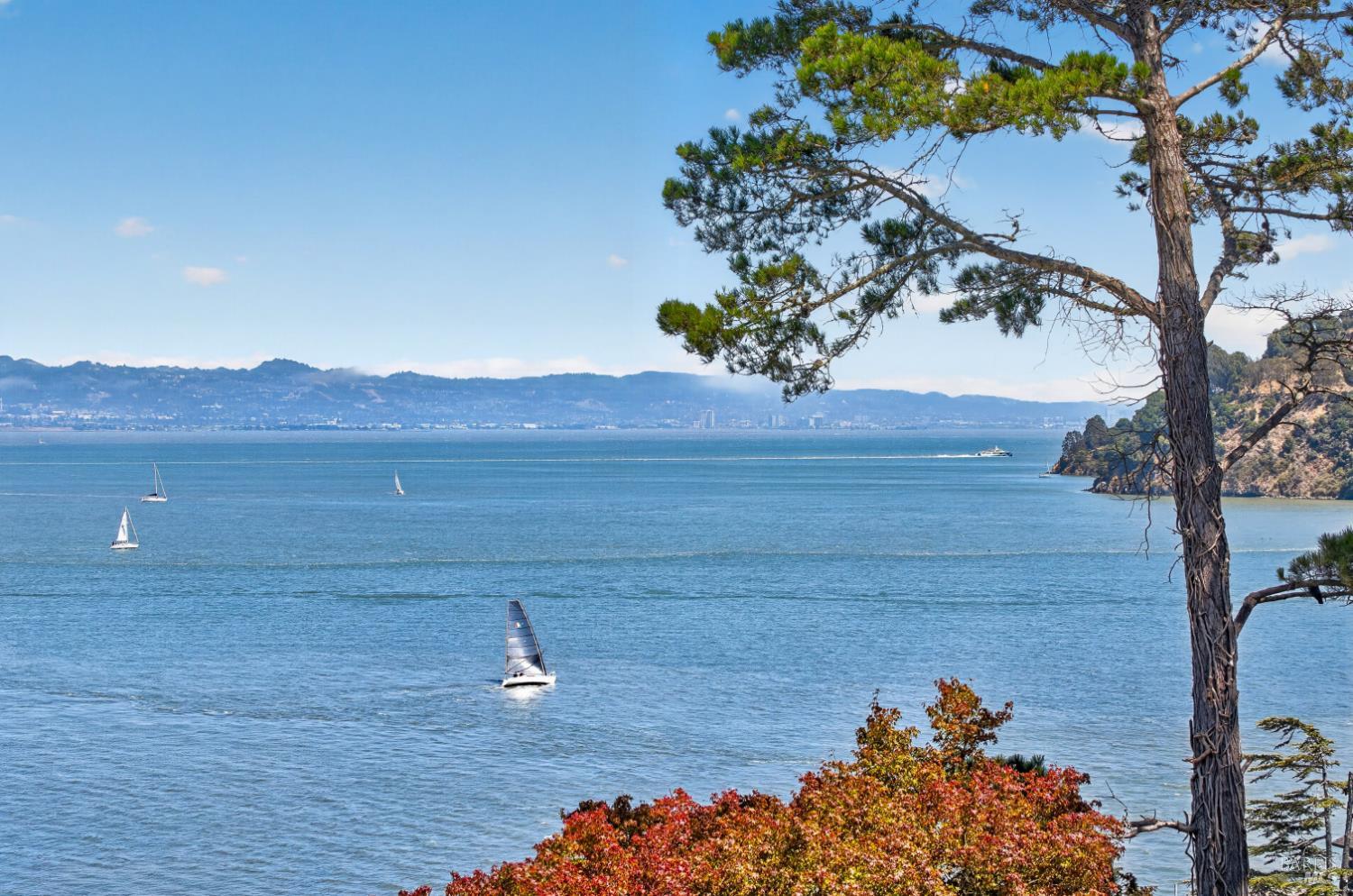 2401 Paradise Drive Tiburon CA 94920