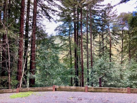 17410 Park Avenue Guerneville CA 95446