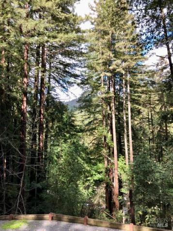 17410 Park Avenue Guerneville CA 95446