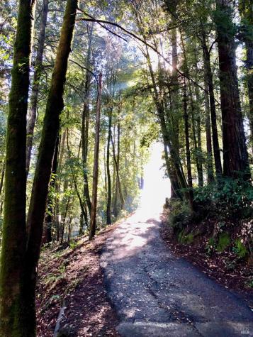 17410 Park Avenue Guerneville CA 95446