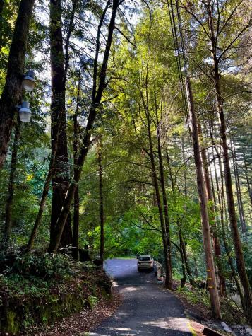 17410 Park Avenue Guerneville CA 95446