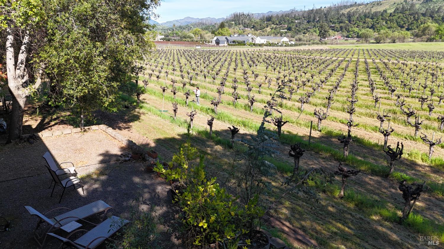 1328 Monte Vista Avenue St. Helena CA 94574