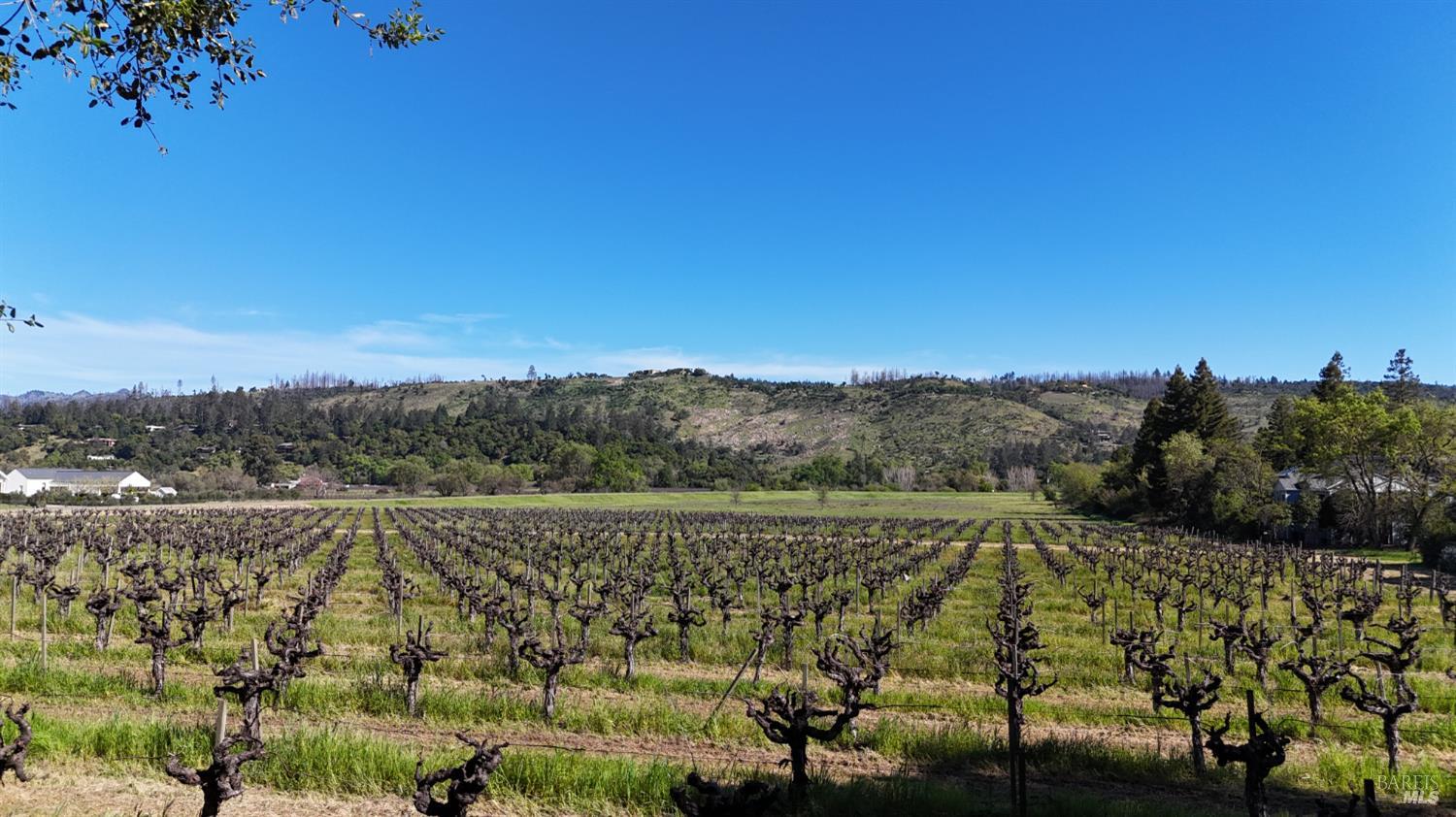 1328 Monte Vista Avenue St. Helena CA 94574