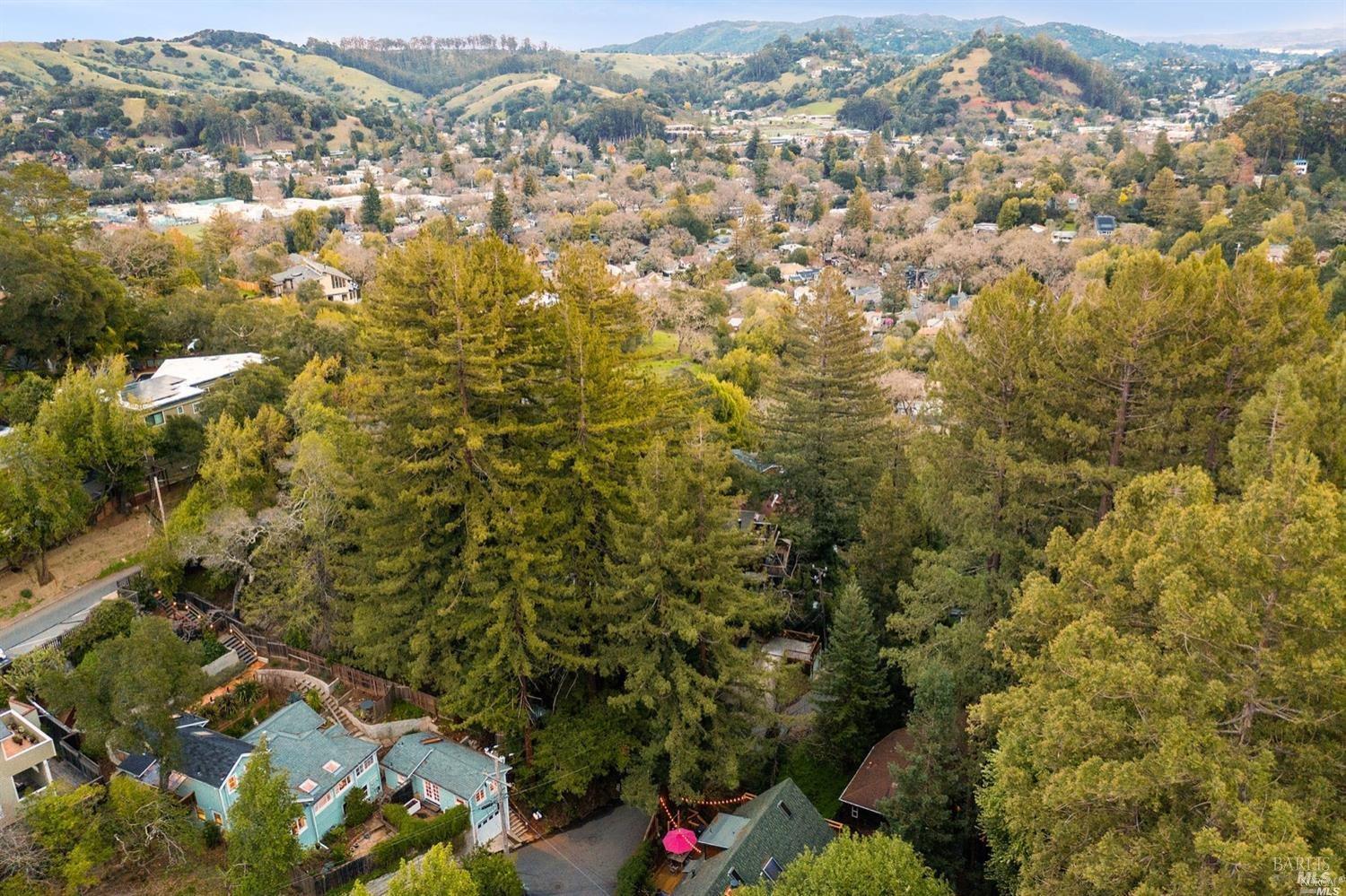 40 Canyon Road San Anselmo CA 94960