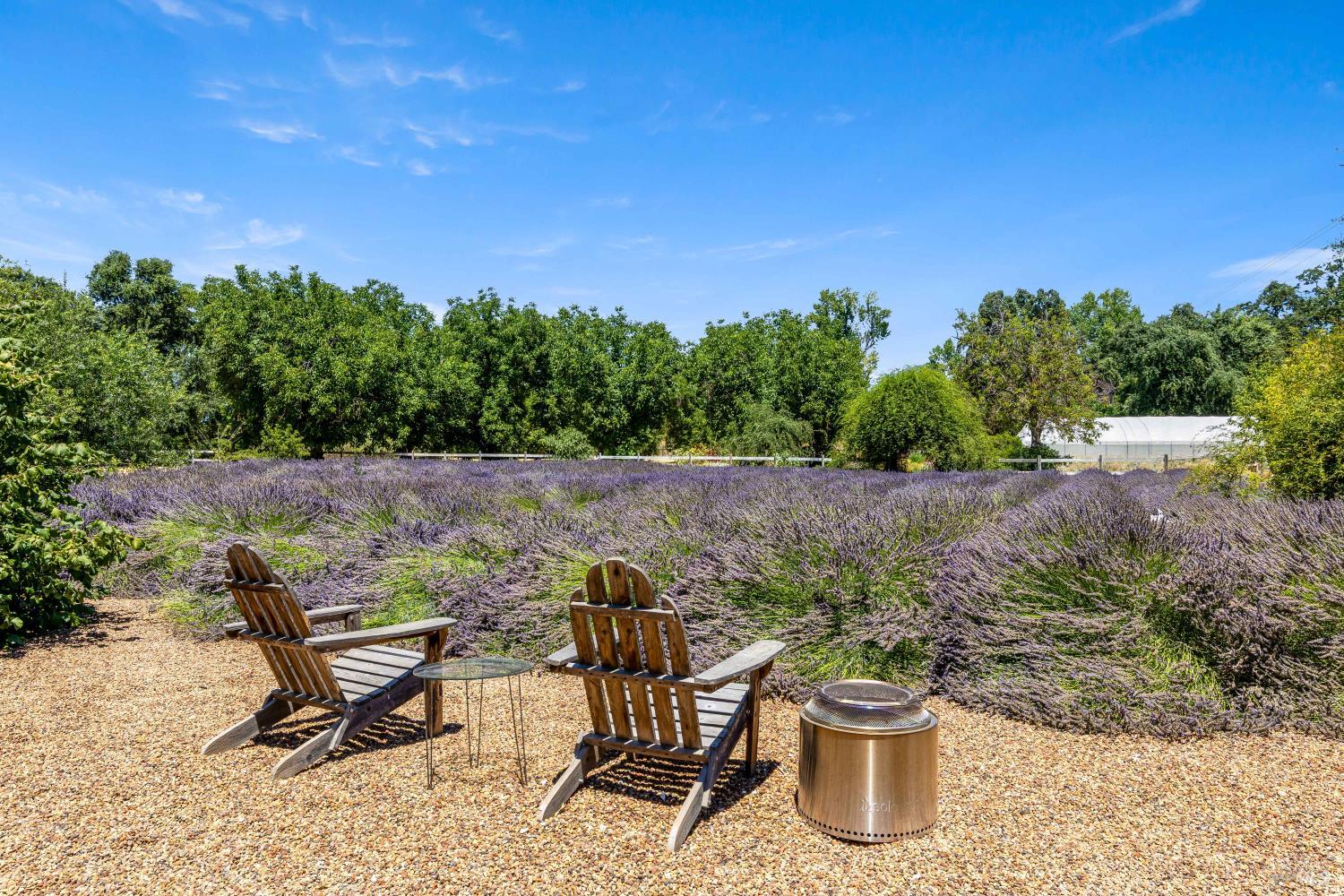 4550 Soda Bay Road Kelseyville CA 95451
