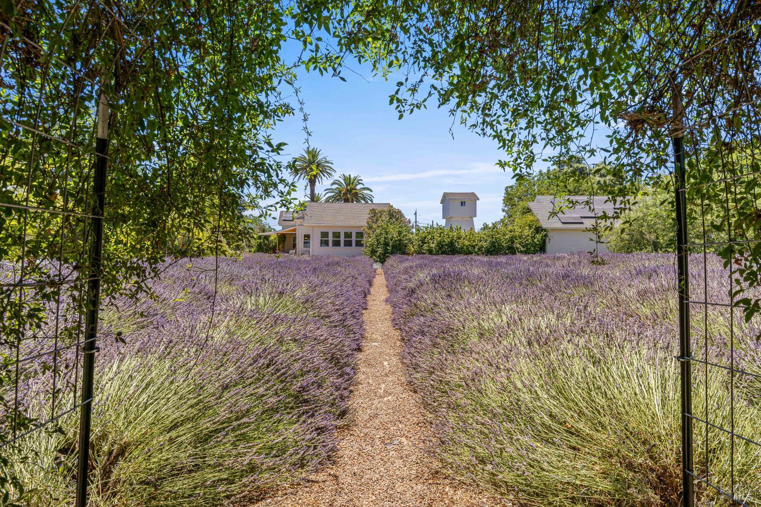 4550 Soda Bay Road Kelseyville CA 95451