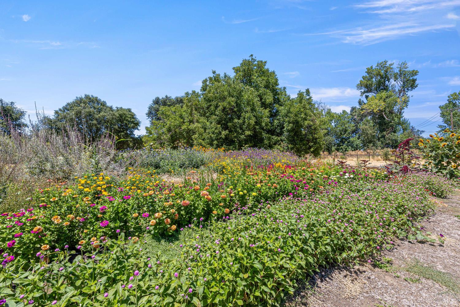 4550 Soda Bay Road Kelseyville CA 95451