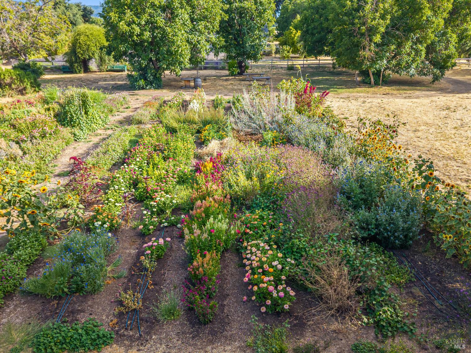 4550 Soda Bay Road Kelseyville CA 95451