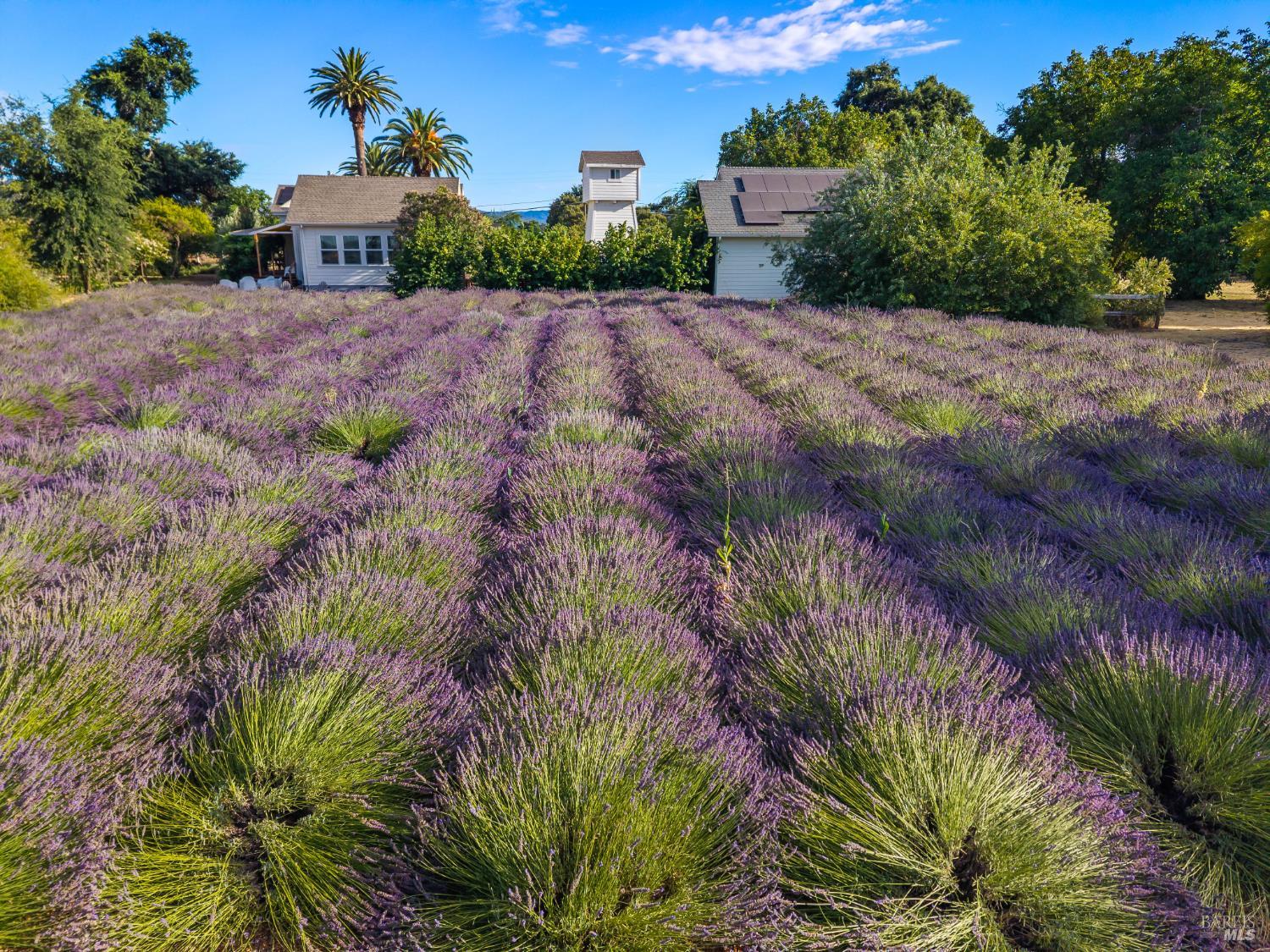 4550 Soda Bay Road Kelseyville CA 95451