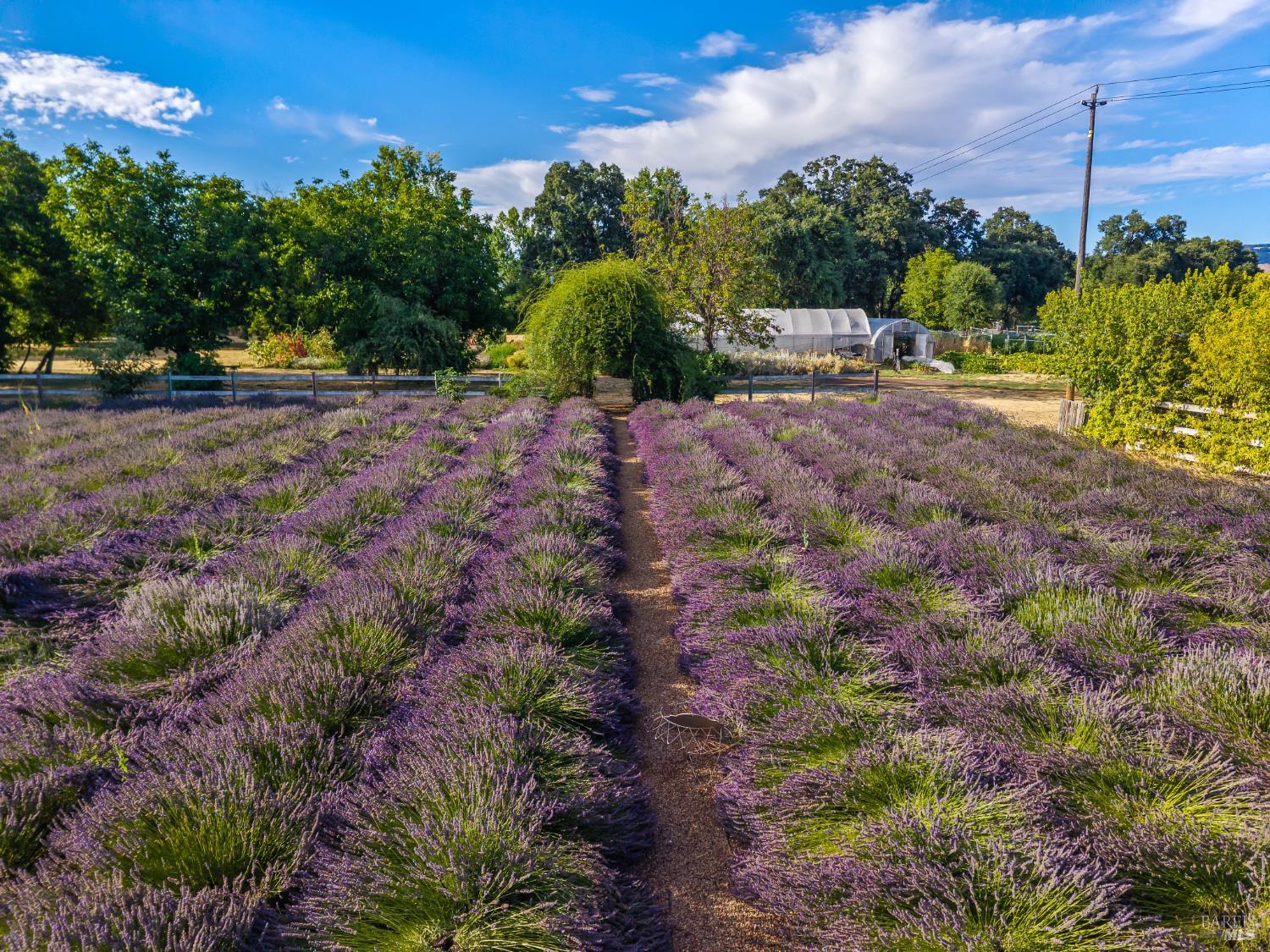 4550 Soda Bay Road Kelseyville CA 95451
