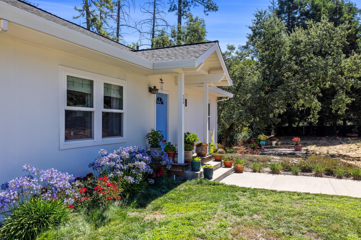 234 Mariposa Drive Angwin CA 94508