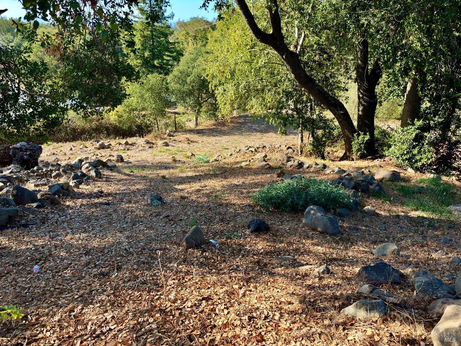 4310 Lichau Road Penngrove CA 94951