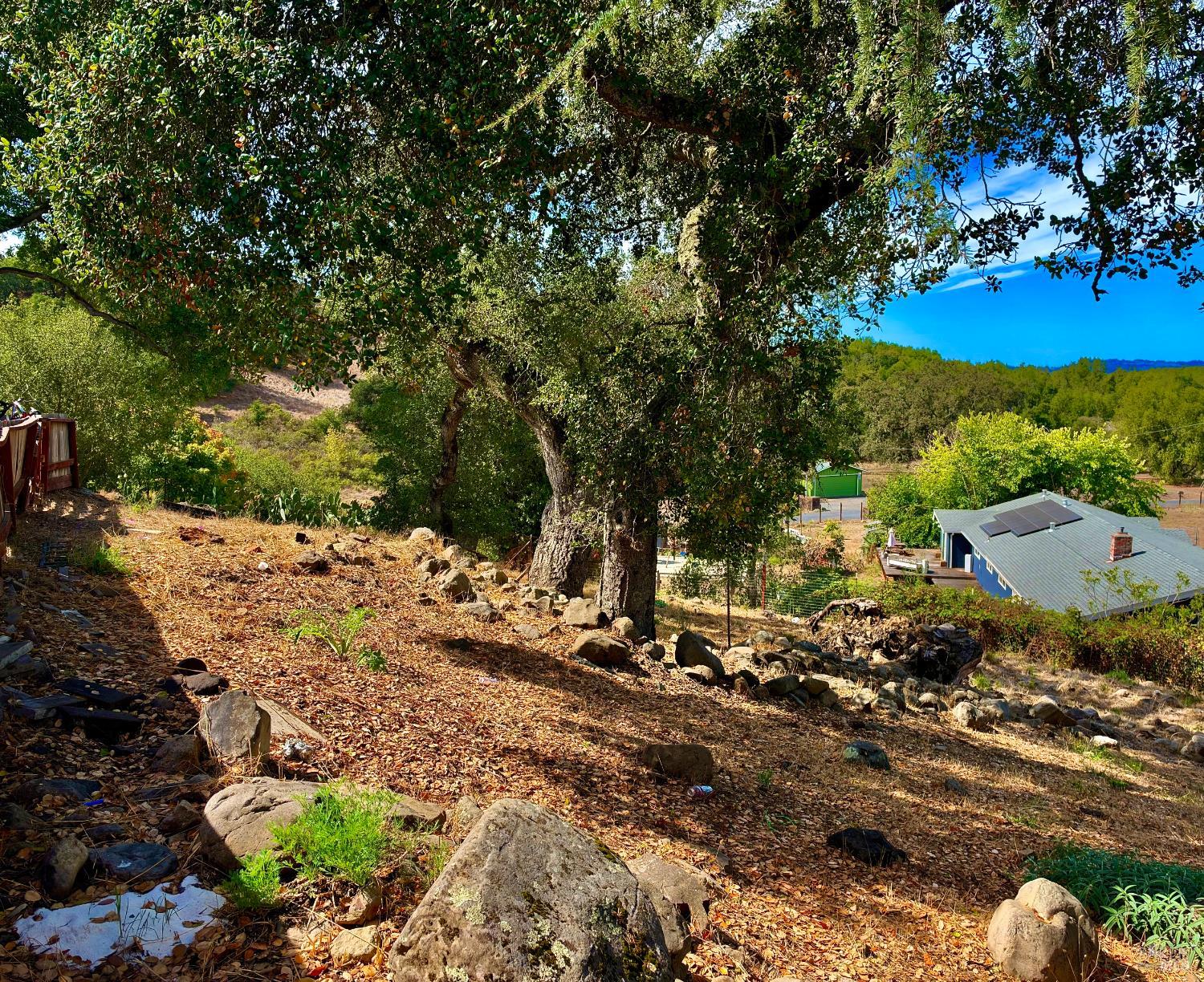 4310 Lichau Road Penngrove CA 94951