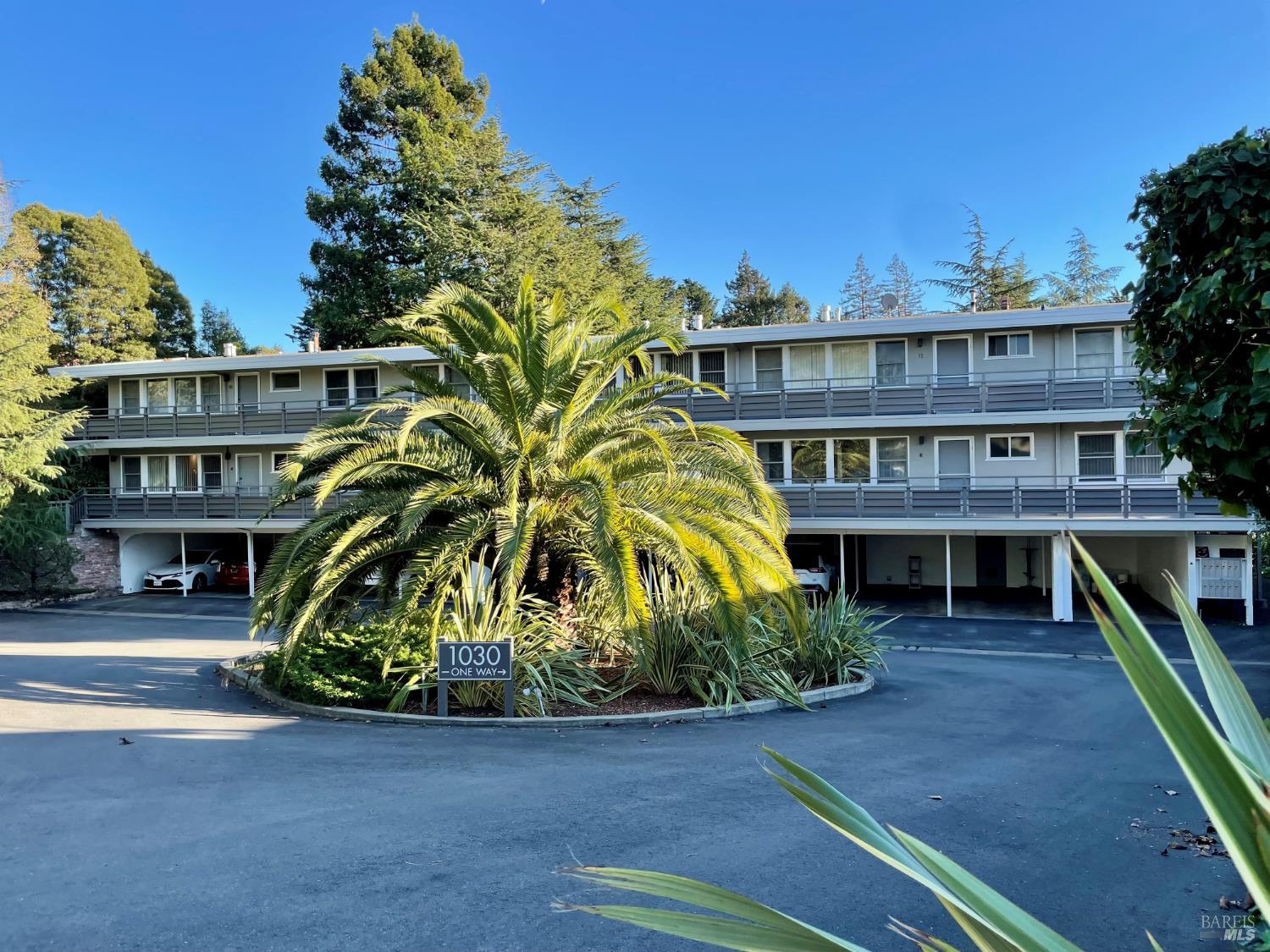 19 Knoll Lane Mill Valley CA 94941