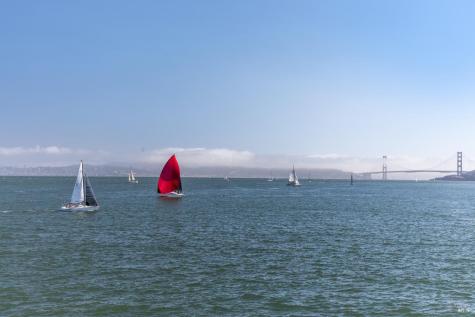 2002 Paradise Drive Tiburon CA 94920
