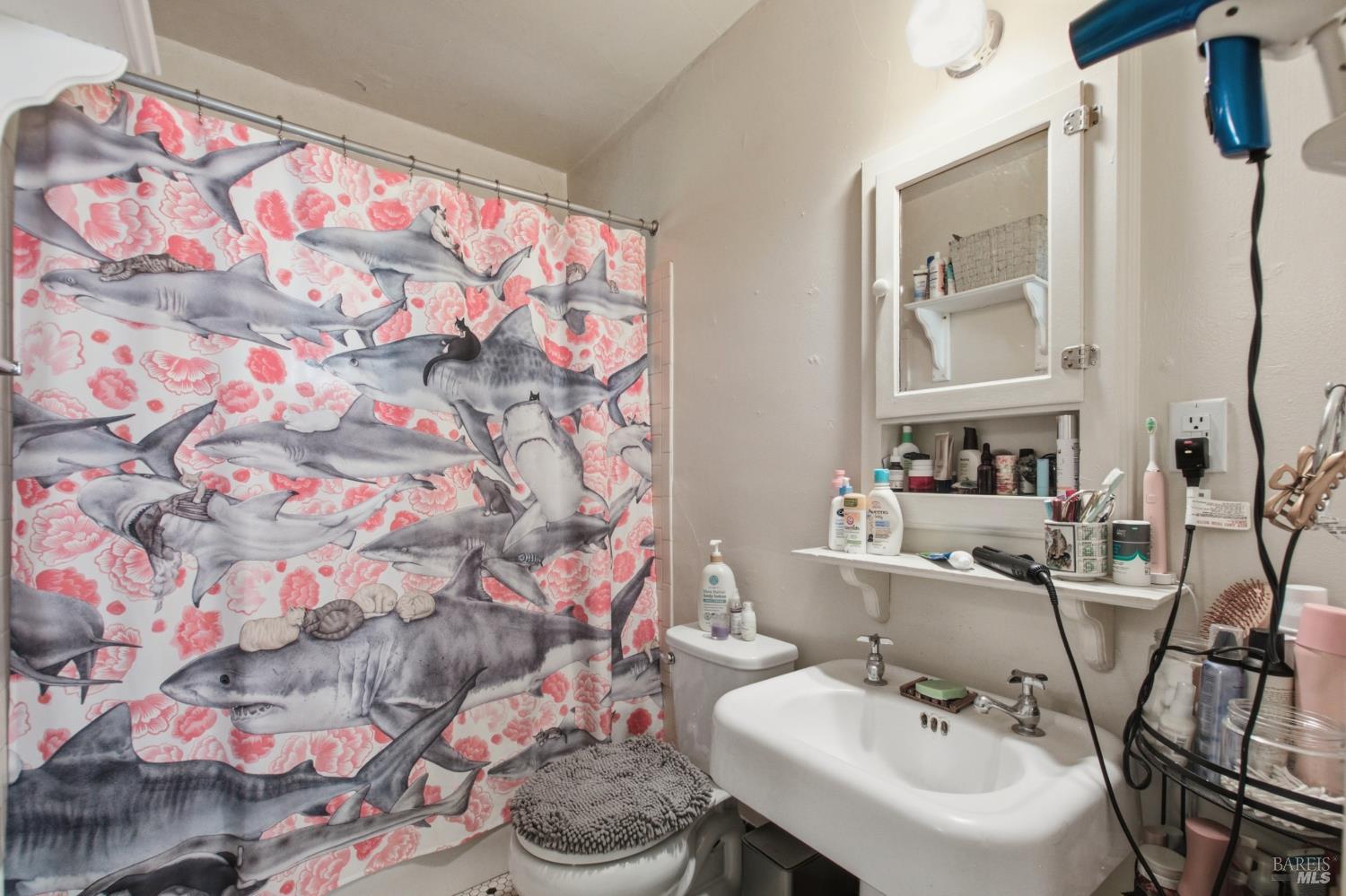 824 Humboldt Street Santa Rosa CA 95404