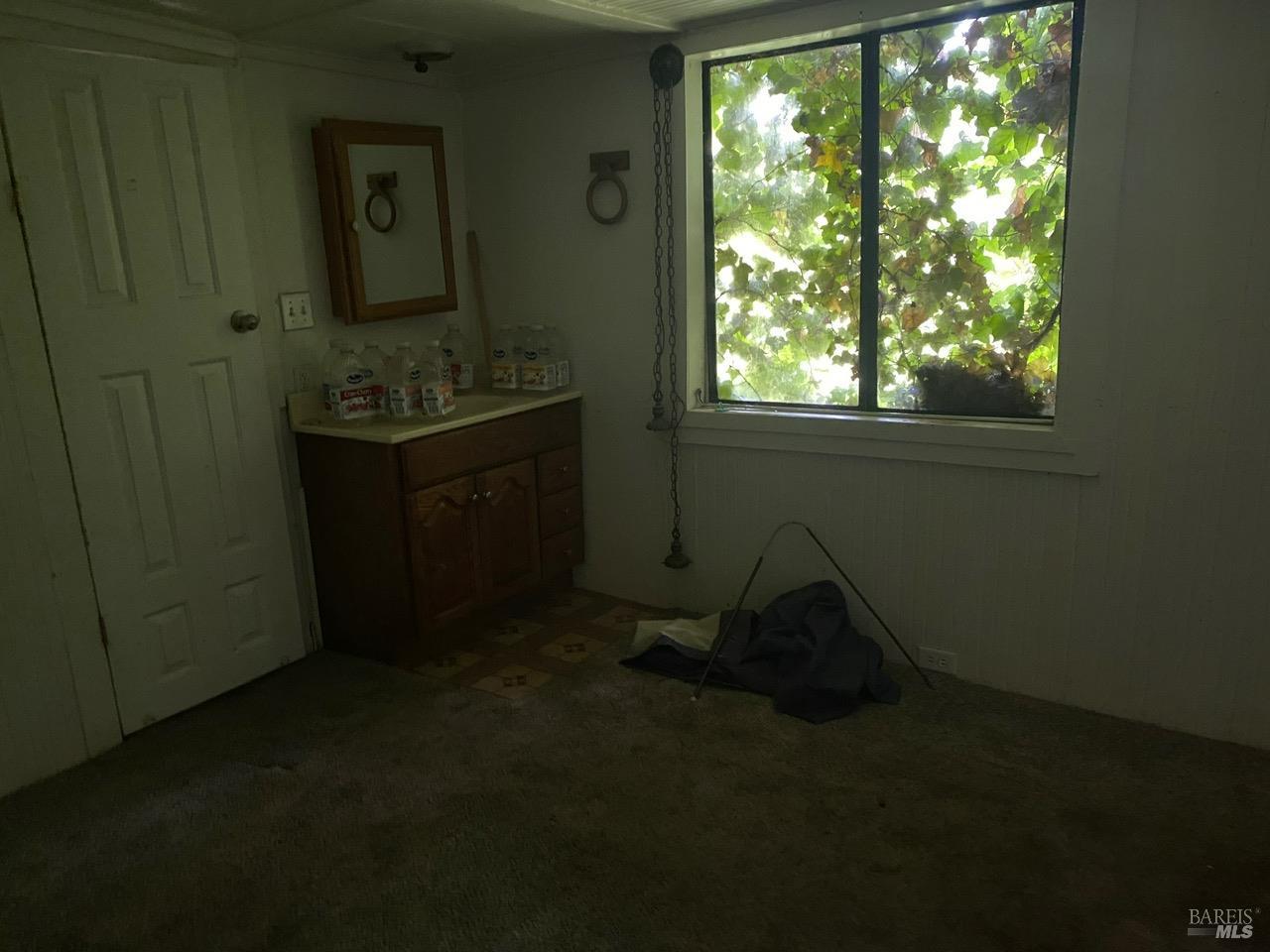 15995 Palo Alto Drive Guerneville CA 95446