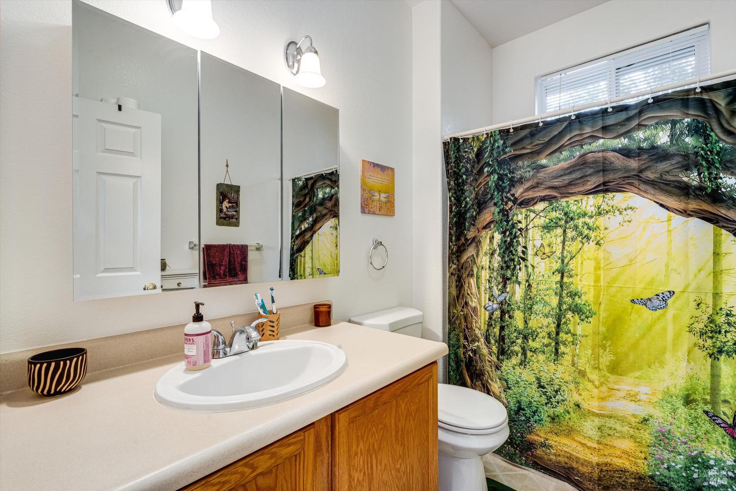 1171-1173 Gravenstein Highway S Sebastopol CA 95472