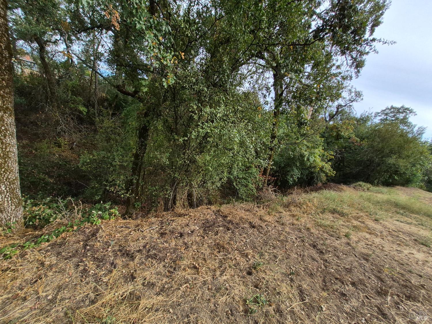 506 White Cottage Road N Angwin CA 94508