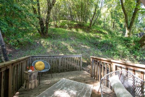 251 W End Avenue San Rafael CA 94901