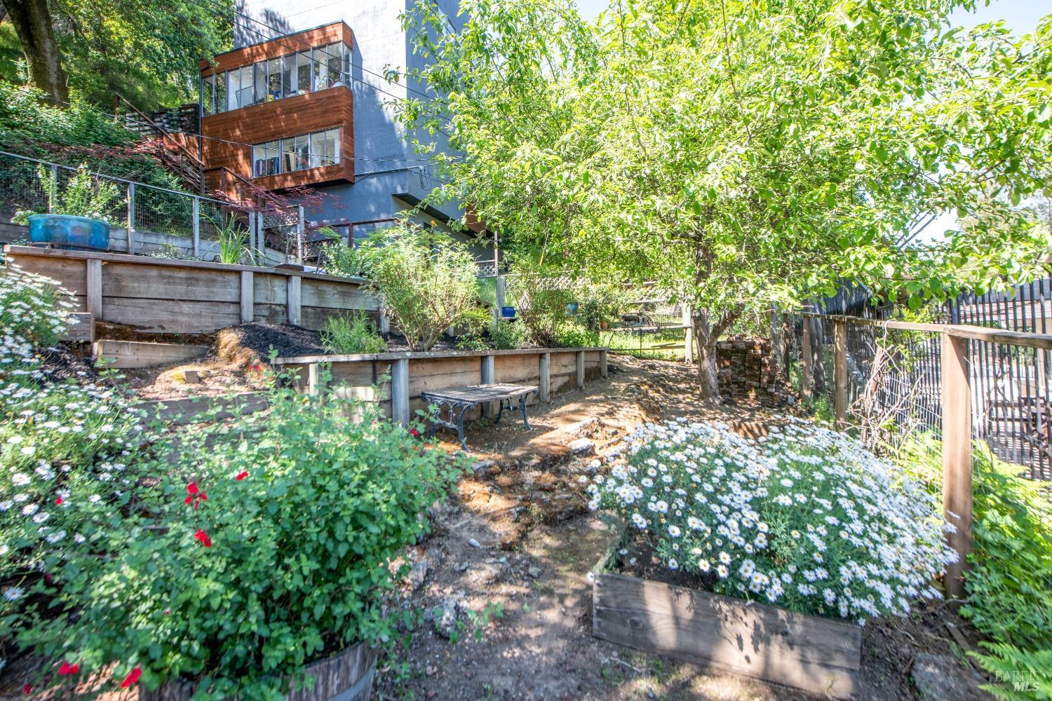 251 W End Avenue San Rafael CA 94901