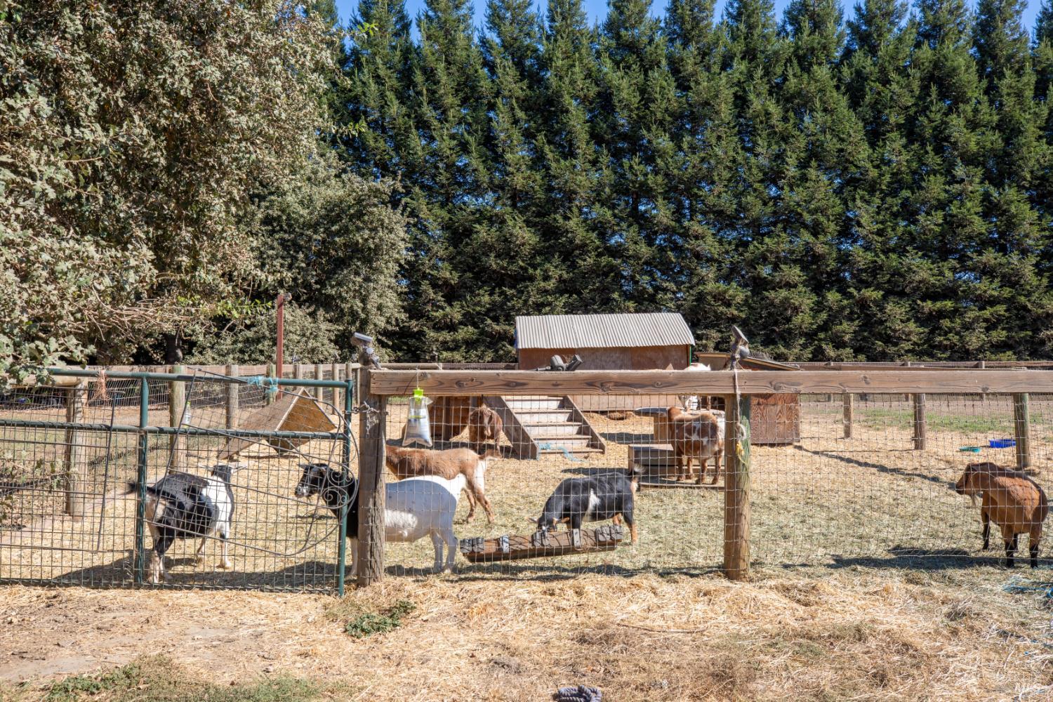 3290-3280 Somers Street Santa Rosa CA 95403