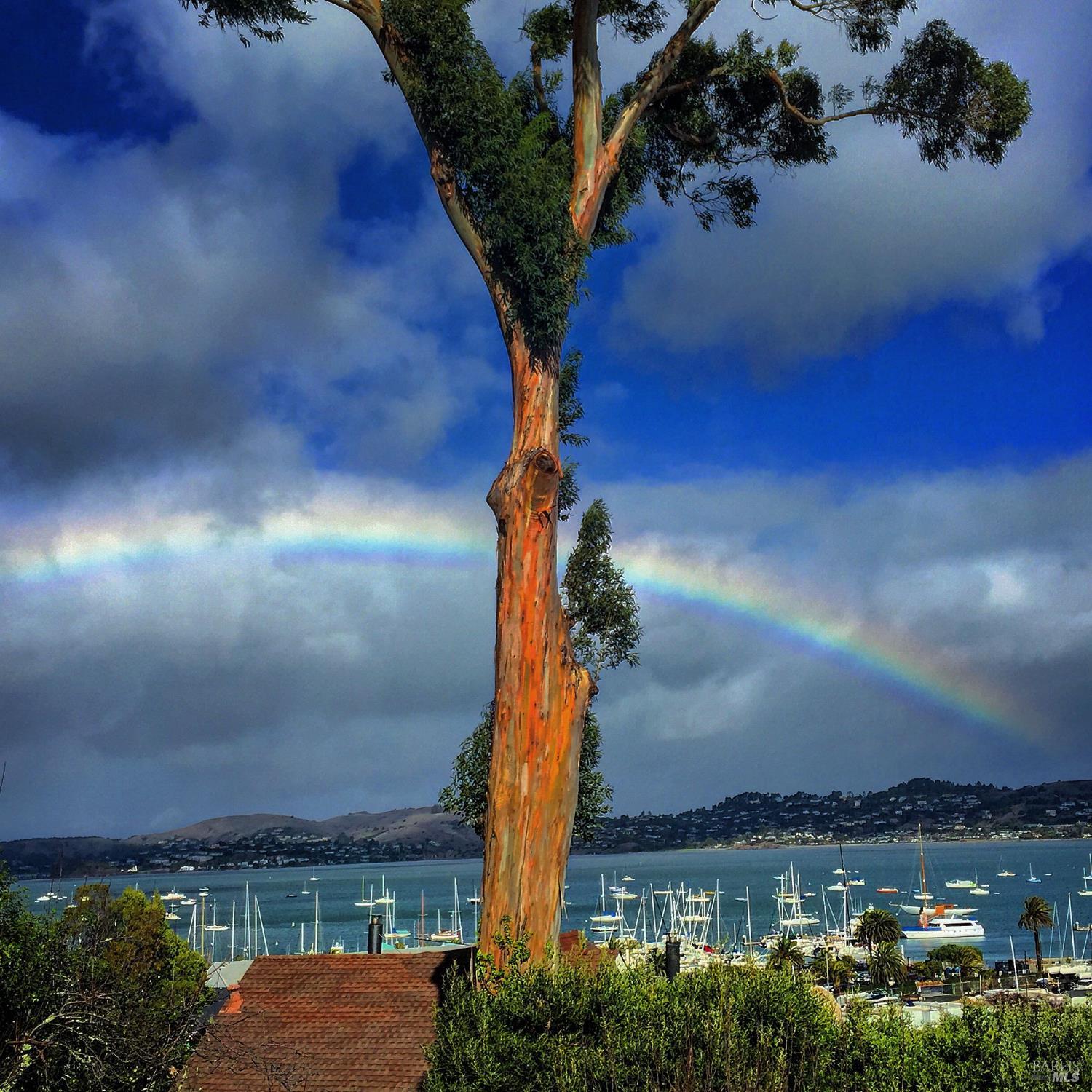 134-132 Filbert Avenue Sausalito CA 94965