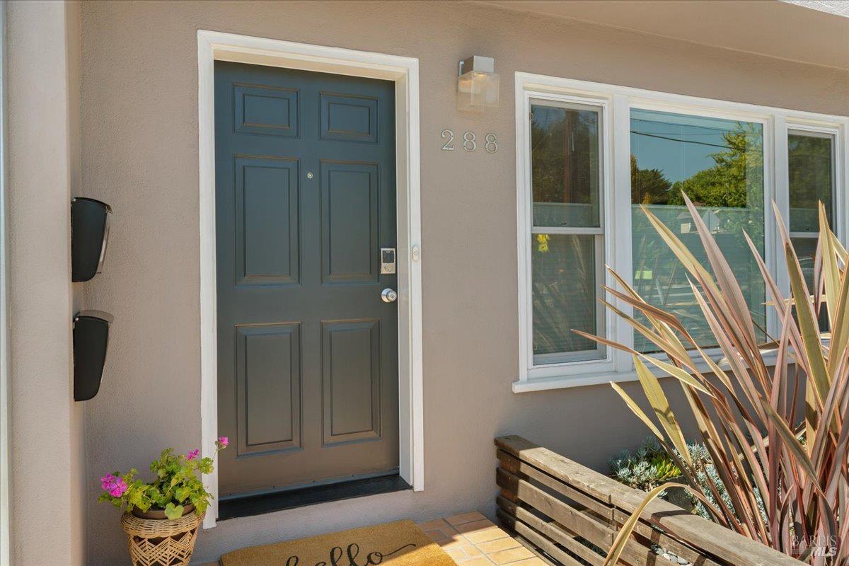 288-290 Miller Avenue Mill Valley CA 94941
