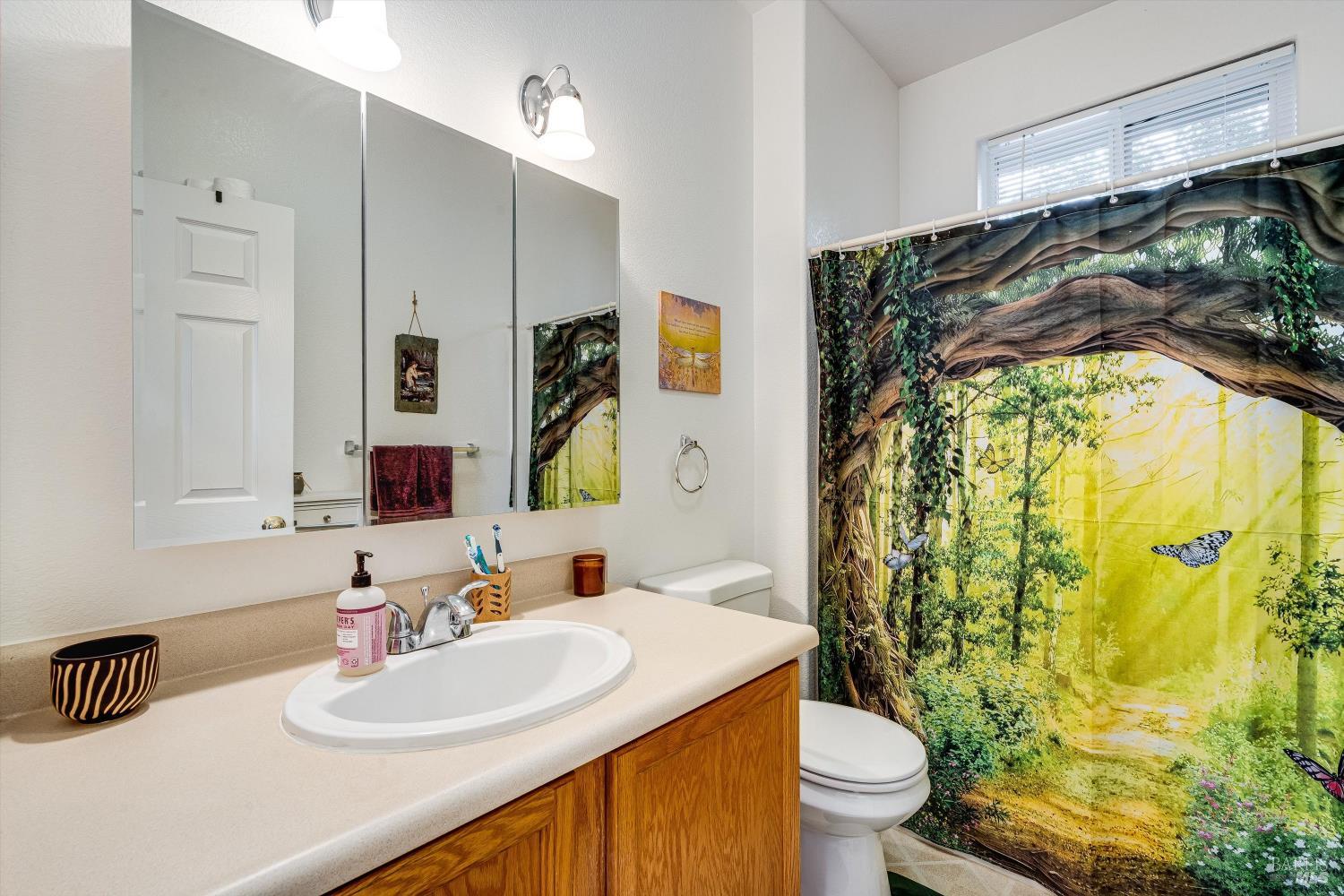 1171-1173 Gravenstein Highway S Sebastopol CA 95472