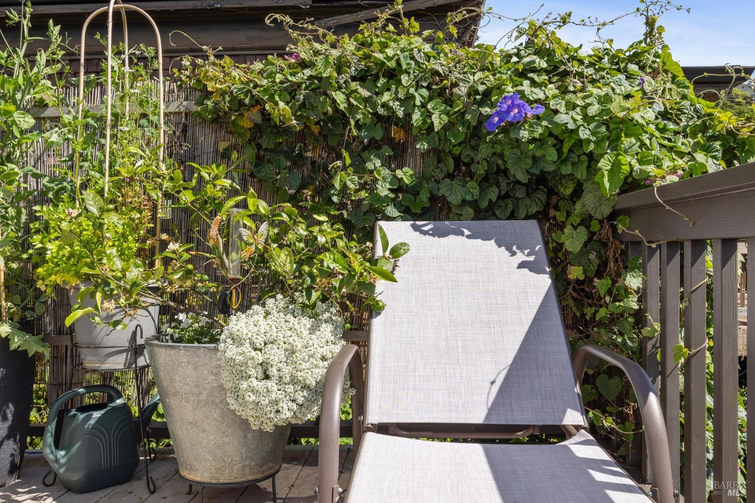 516 Richardson Street Sausalito CA 94965
