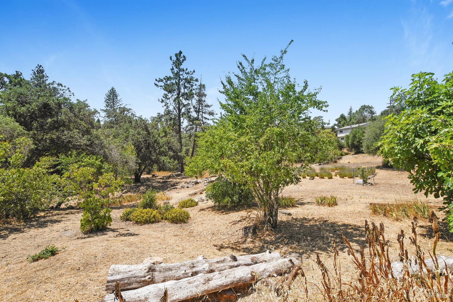 193 Sky Oaks Drive Angwin CA 94508