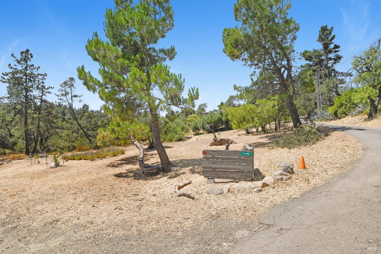 193 Sky Oaks Drive Angwin CA 94508
