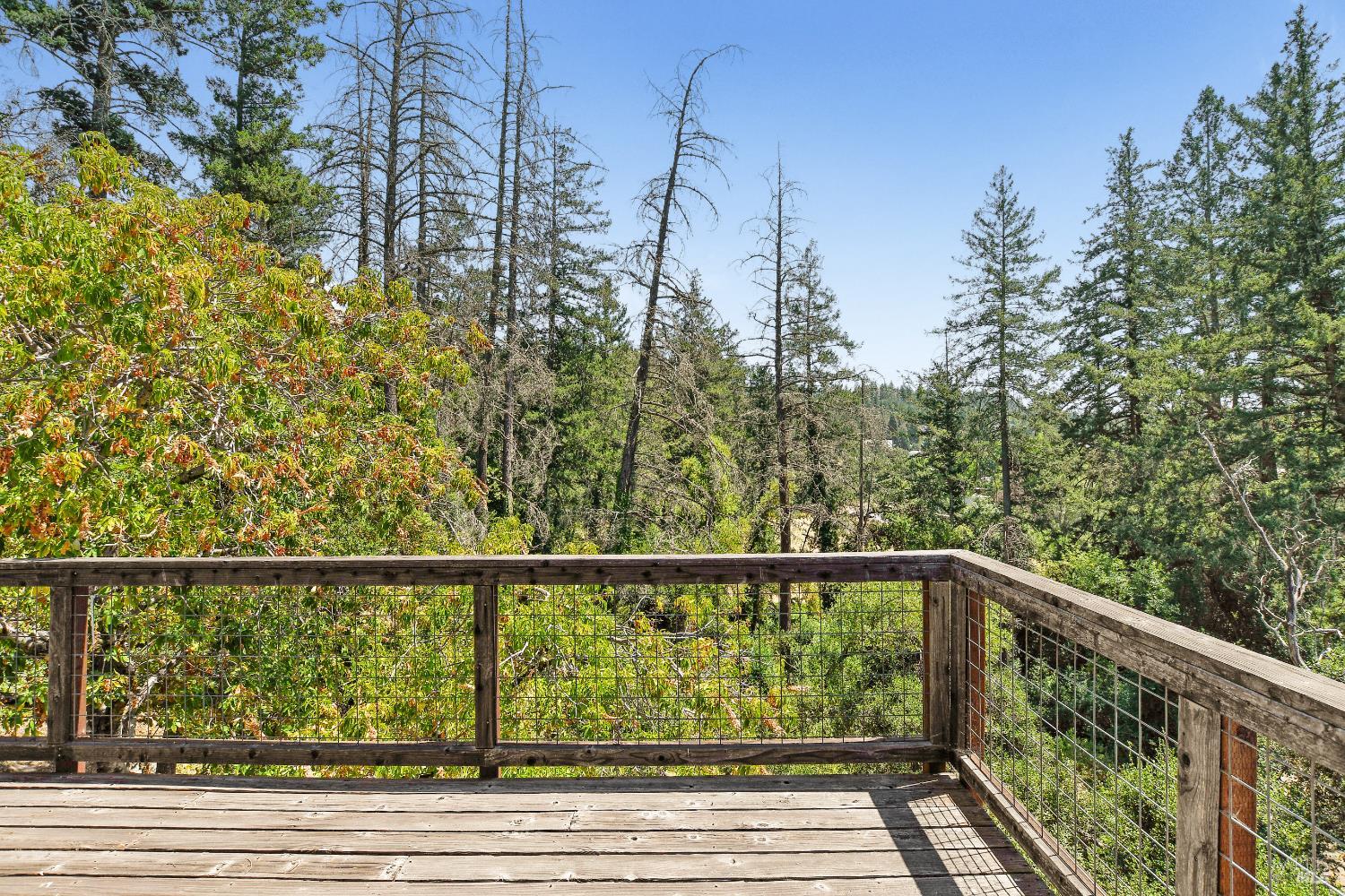 193 Sky Oaks Drive Angwin CA 94508