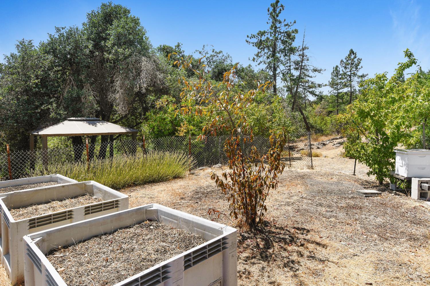 193 Sky Oaks Drive Angwin CA 94508