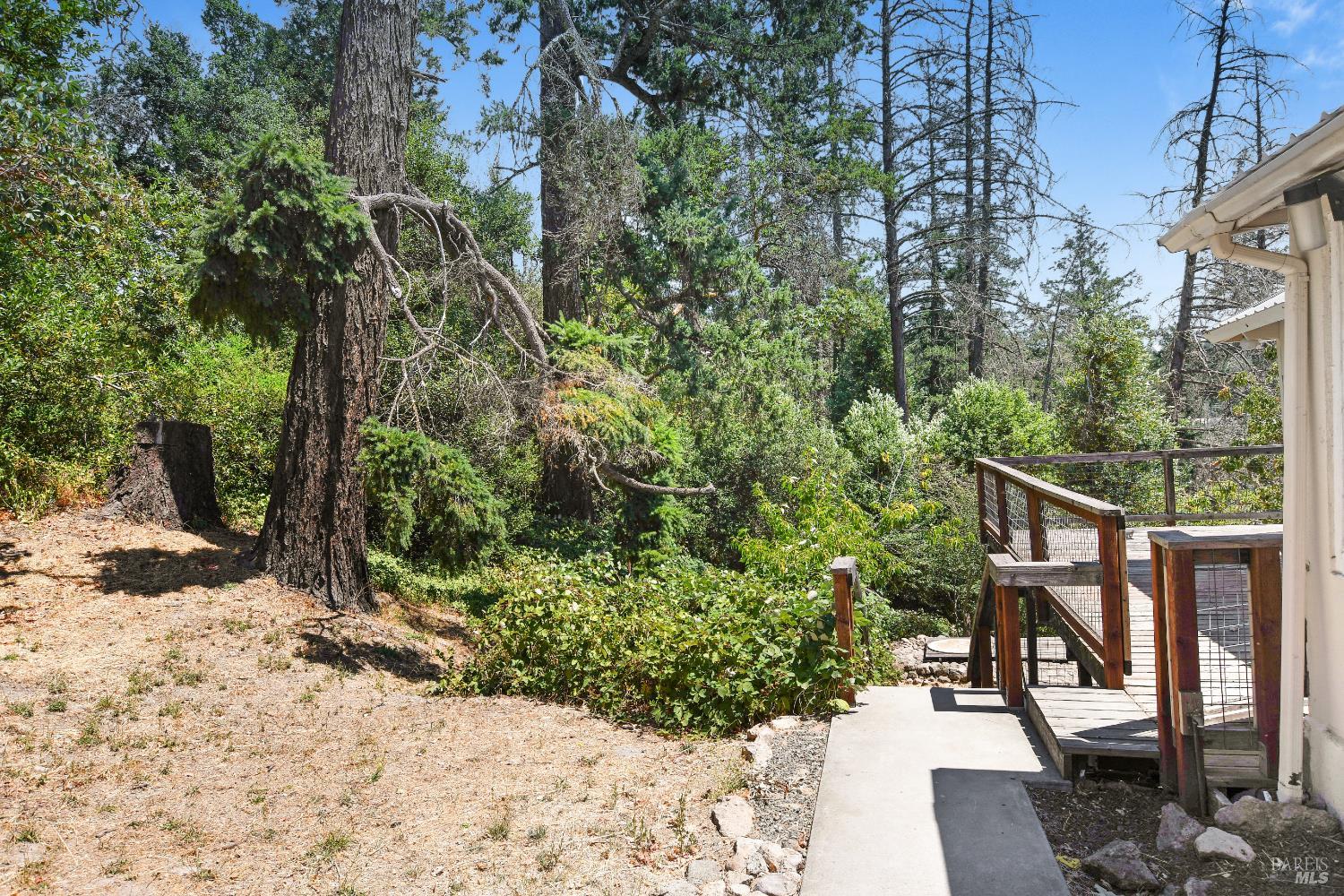193 Sky Oaks Drive Angwin CA 94508