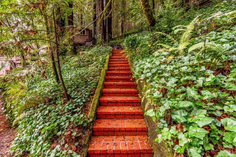 17910 Old Monte Rio Road Guerneville CA 95446