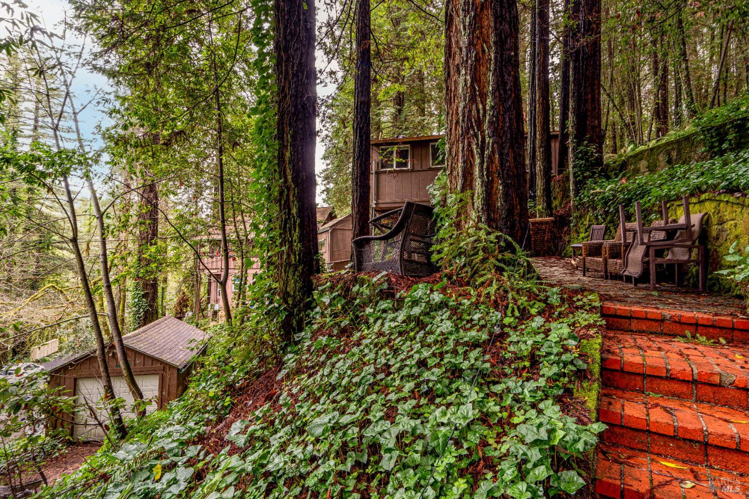 17910 Old Monte Rio Road Guerneville CA 95446
