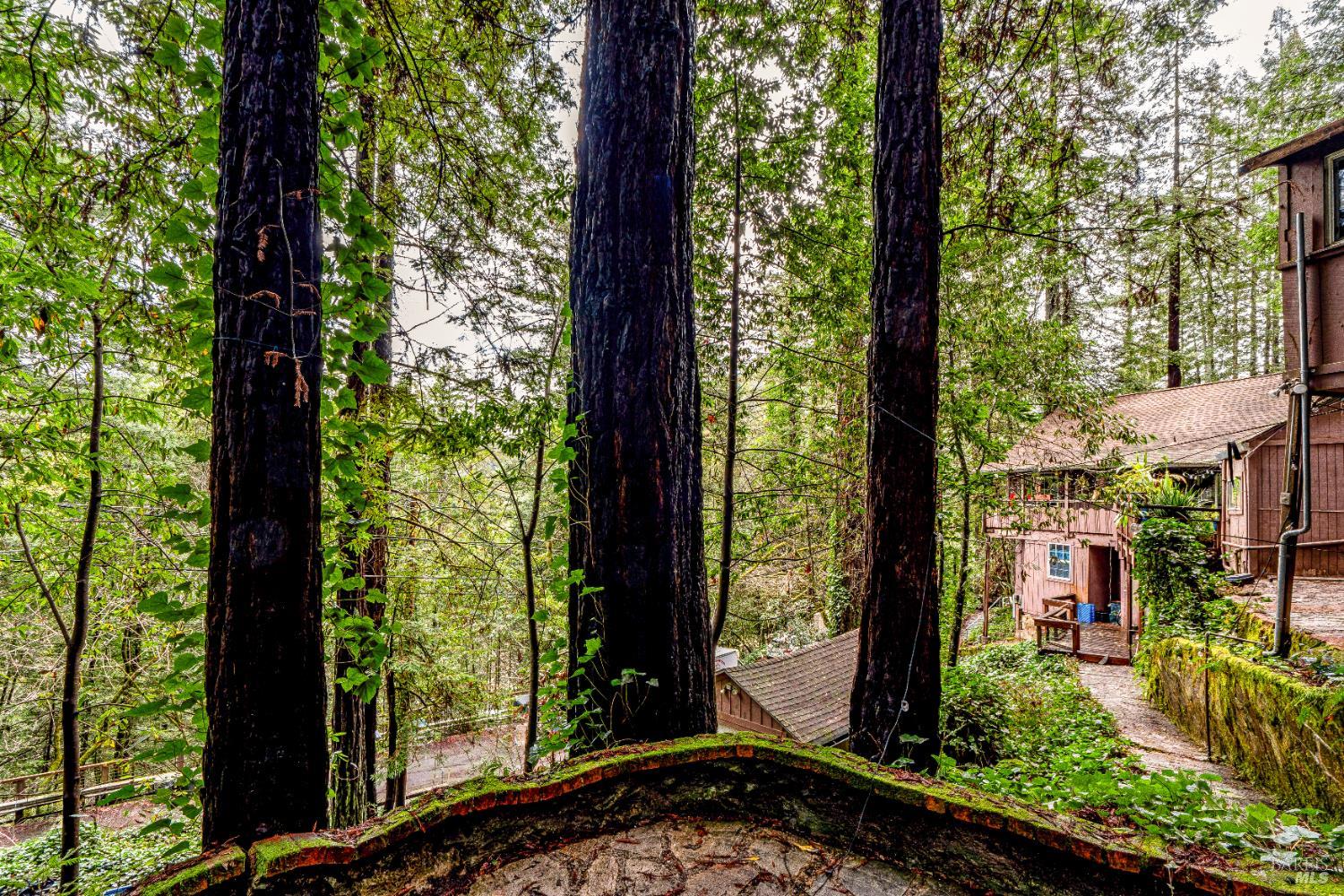 17910 Old Monte Rio Road Guerneville CA 95446