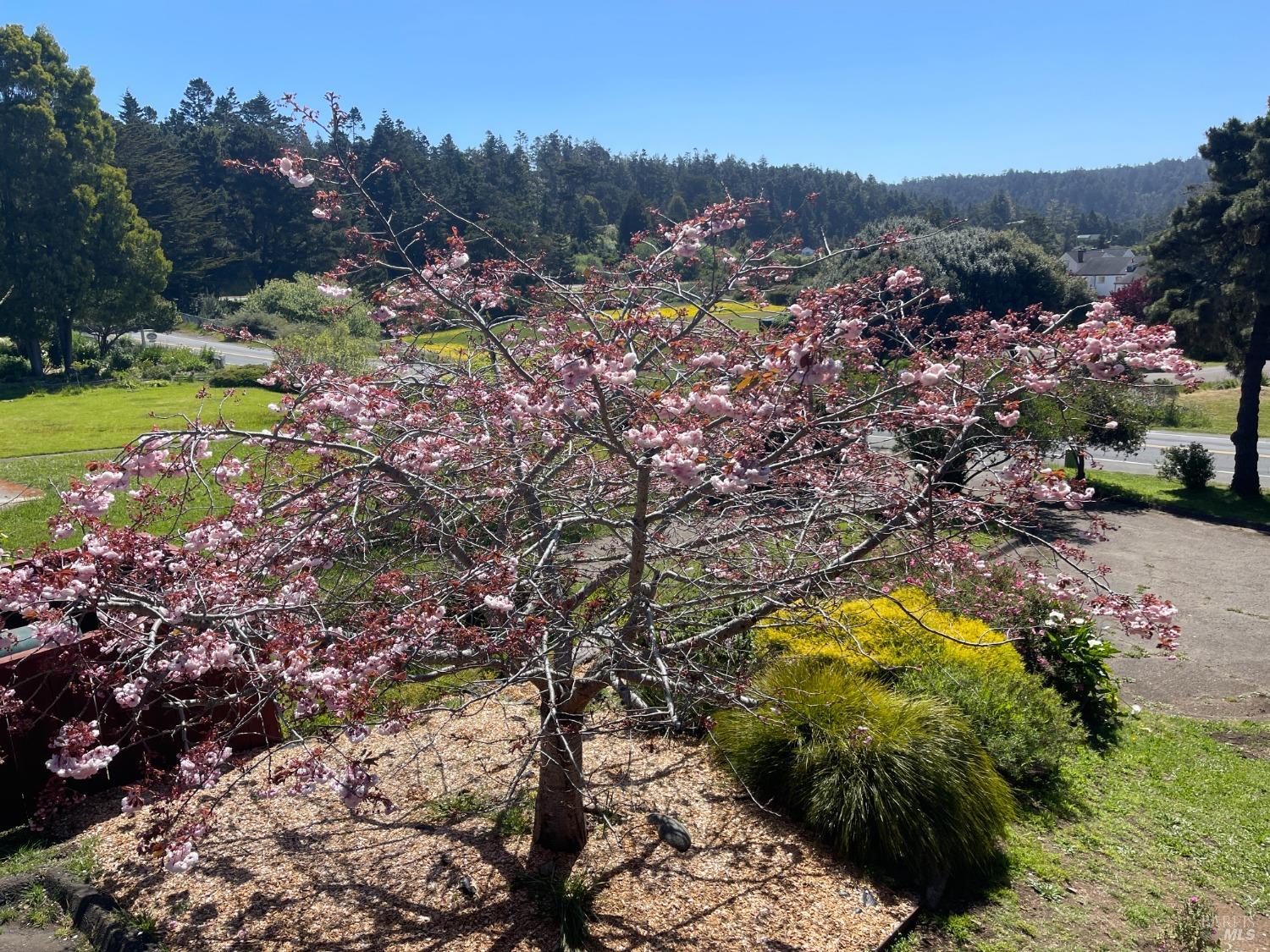 44920 Little Lake Road Mendocino CA 95460