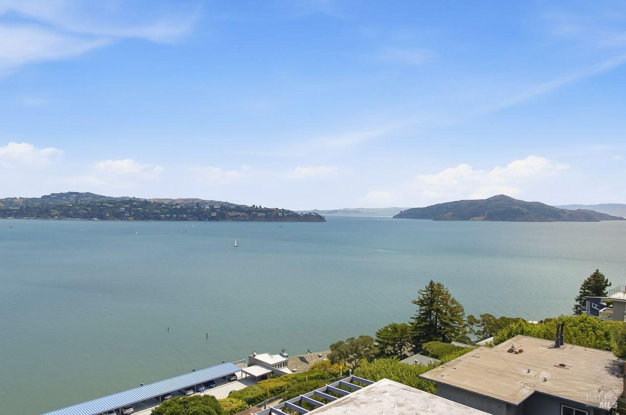 42 Edwards Avenue Sausalito CA 99465