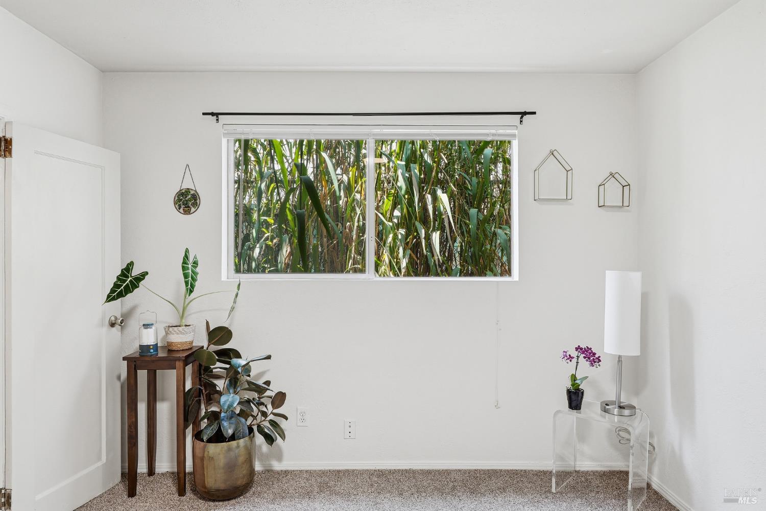 1614 Russell Street Berkeley CA 94703
